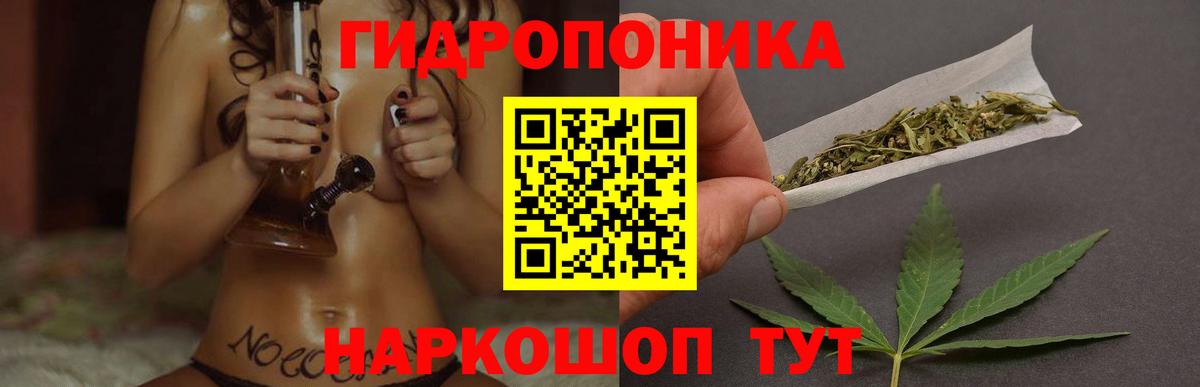 Конопля ГИДРОПОН  Бошки Шишки семена  Красноуфимск  Вход с VPN  Конопля VHQ  Канабис MAZAR 